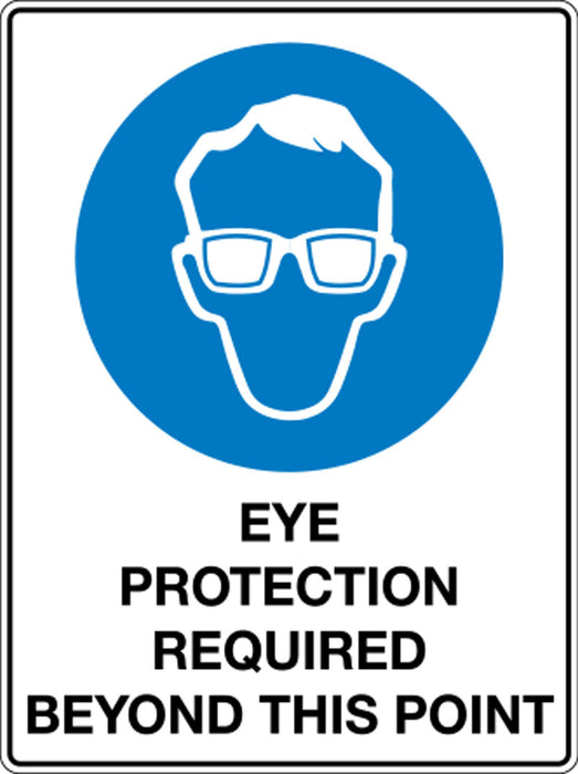 Eye Protection Must Be Worn Beyond This Point